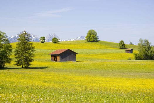 lovely panorama in the alps in Germany