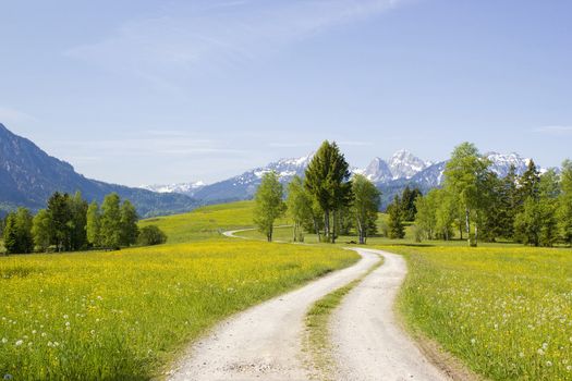 lovely panorama in the alps in Germany