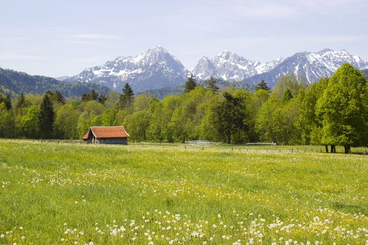 lovely panorama in the alps in Germany 