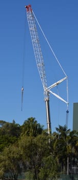 Tall crane against a blue sky and palm trees