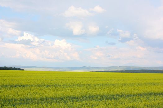 Beautiful summer landscape with blue sky and clouds.