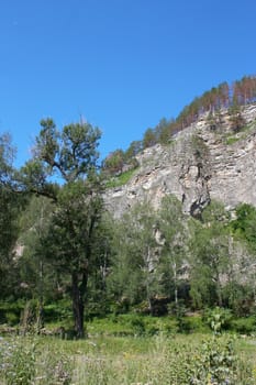 In mountain gorge. Summer landscape.