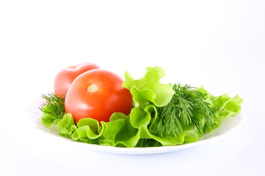 Vegetables on the white background