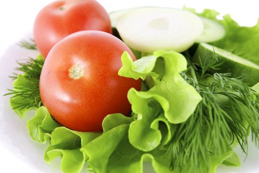 Vegetables on the white background