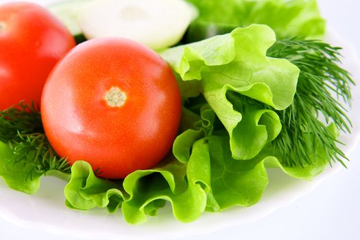 Vegetables on the white background