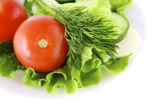 Vegetables on the white background