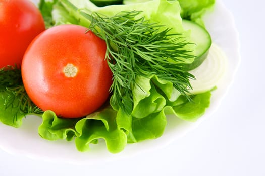 Vegetables on the white background