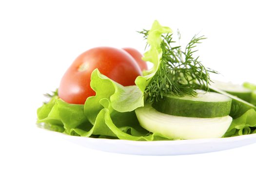 Vegetables on the white background