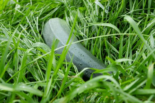 Zucchini on the green grass background