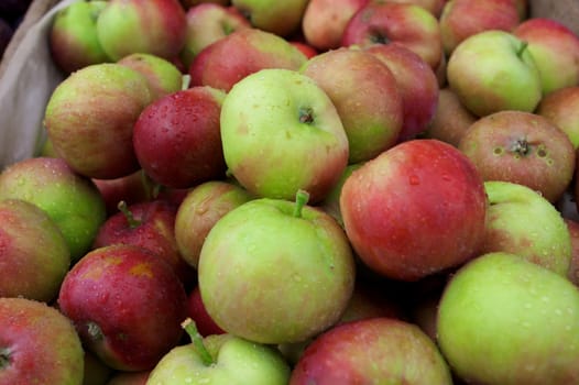 Fresh juicy apples in the box