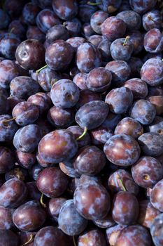 Plum fruit in the box