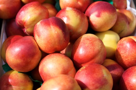 Fresh juicy nectarines in the box