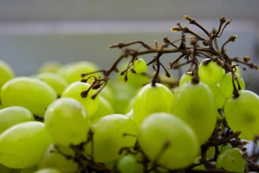 Grapes