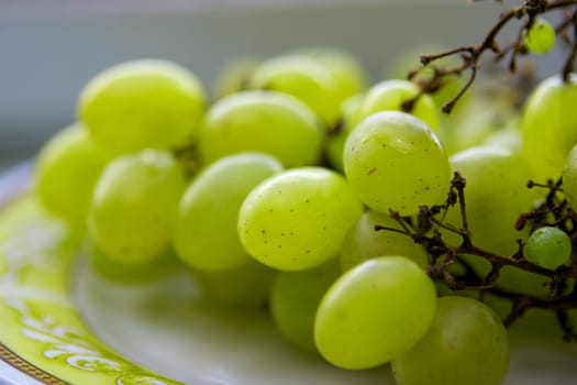 Grapes