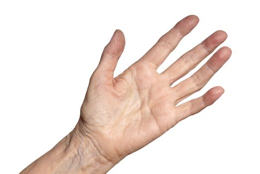 Studio shot of female hand. Isolated on white background.