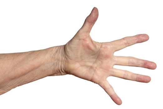 Studio shot of female hand. Isolated on white background.