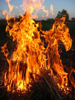 body of flame inflaming in a field