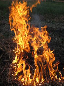 body of flame inflaming in a field