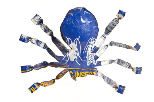 close up of a tinny spider
