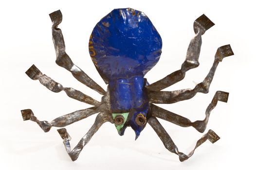 close up of a tinny spider