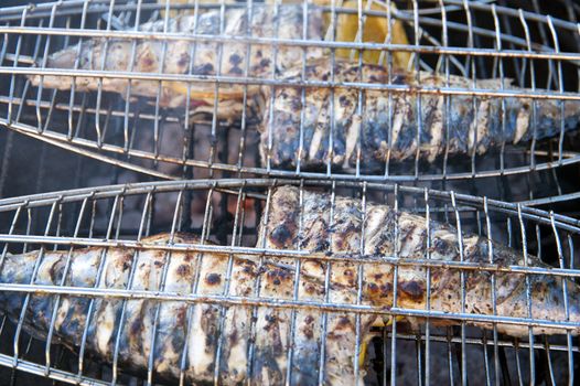 Grilled fishes