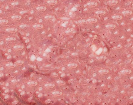 background of fresh sausage