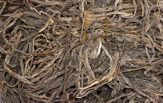 dried seaweed as background