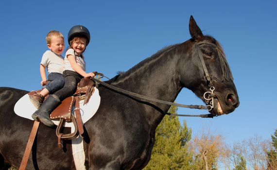 two happy children on their black stallion


