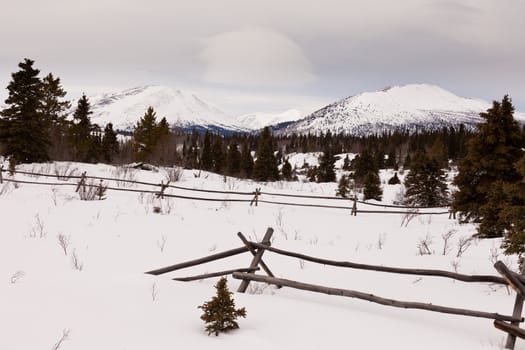 Snowy winter mountain landscape with ranch fence in boreal forest taiga of Yukon Territory Canada.
