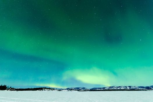 Intense Northern Lights or Aurora borealis or polar lights on moon lit night sky over winter landscape of Lake Laberge Yukon Territory Canada