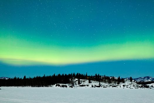 Spectacular display of intense green Northern Lights or Aurora borealis or polar lights over snowy northern winter landscape