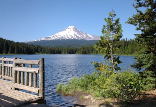A view of mt. Hood and Trillium lake Oregon.