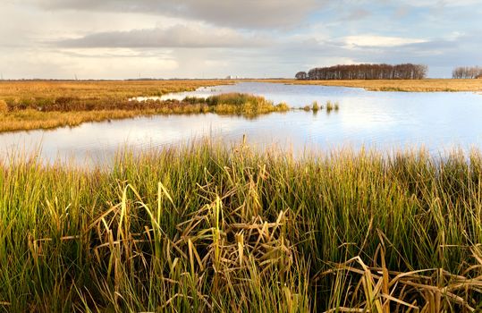 plain landscape with water and beautiful sky over the horizon