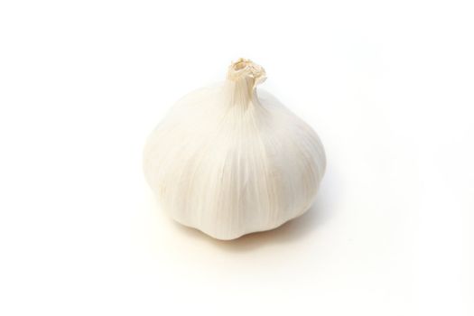 one white garlic on white background