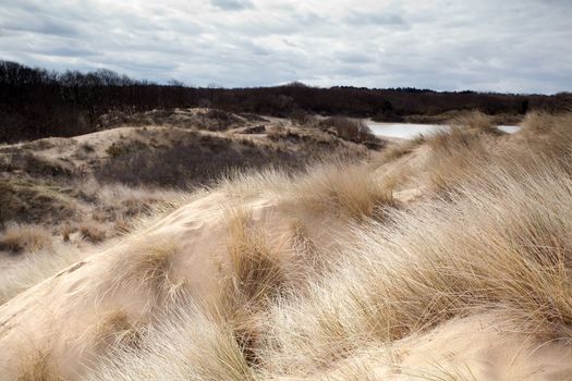 view on sandy dunes close to North Sea in Netherlands