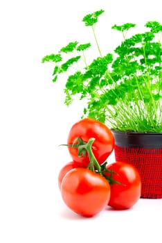 Red tomato with parsley isolated on white background.