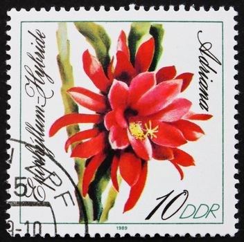 GDR - CIRCA 1989: a stamp printed in GDR shows Adriana, Epiphyllum, Flowering Cacti, circa 1989