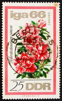 GDR - CIRCA 1966: a stamp printed in GDR shows Rhododendron, International Flower Show, Erfurt, circa 1966