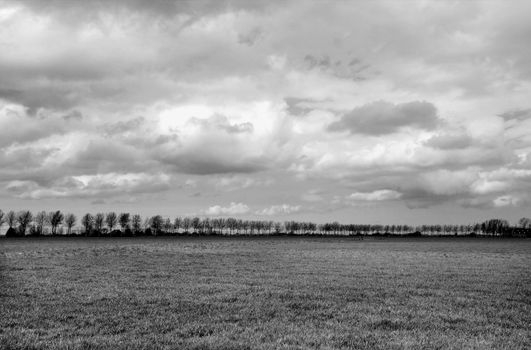 Dutch rural landscape with tree line on horizon and cloudy sky