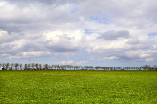 Dutch rural landscape with tree line on horizon and cloudy sky