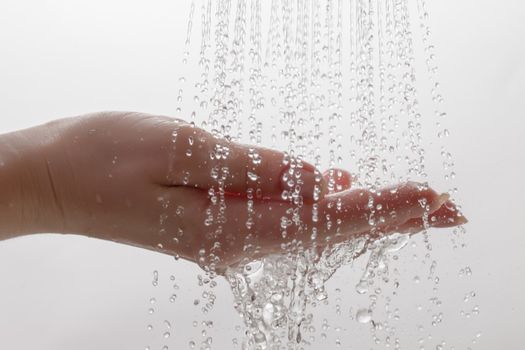 Running Water from Shower Drops on Palm