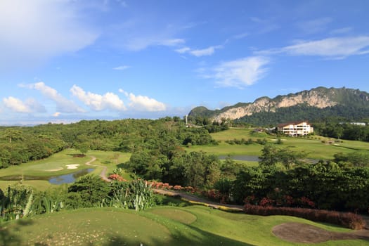 Green grass on a golf field