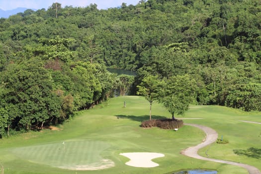 Green grass on a golf field