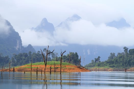 Khao-Sok, the popular national park of Thailand