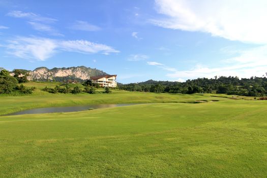 Green grass on a golf field