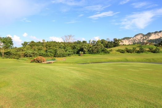 Green grass on a golf field