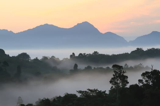 Dramatic clouds with mountain and tree in the morning