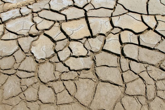 Dry soil in arid areas