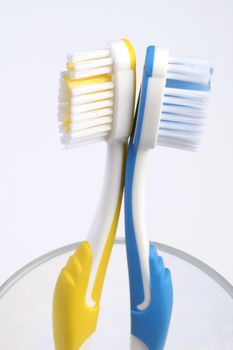 two toothbrushes in a glass