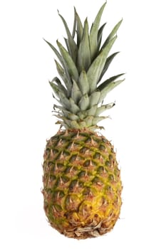 whole pineapple on white background